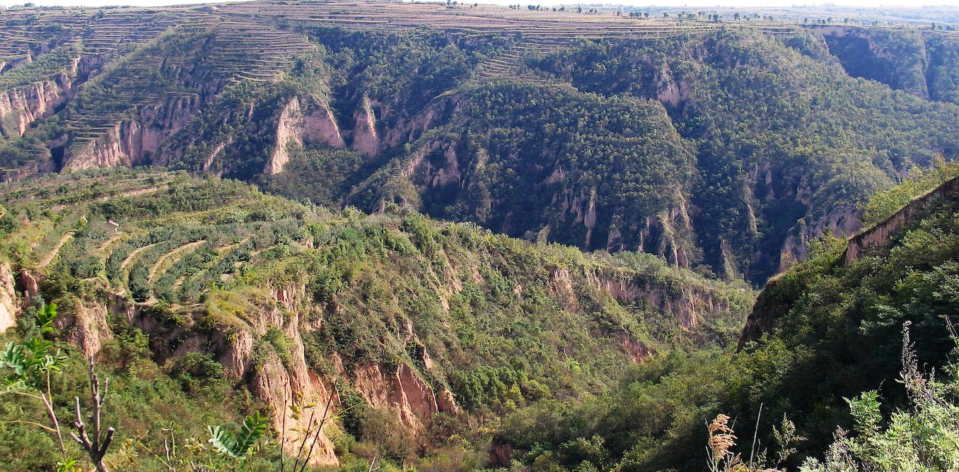 China’s fight against desertification should not be done at the cost of water security