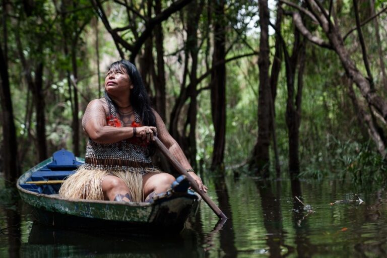 Direct funding of Indigenous peoples can protect global rainforests & the climate (commentary)