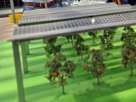 South Korea offers support for agrivoltaics