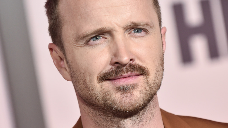 Aaron Paul 